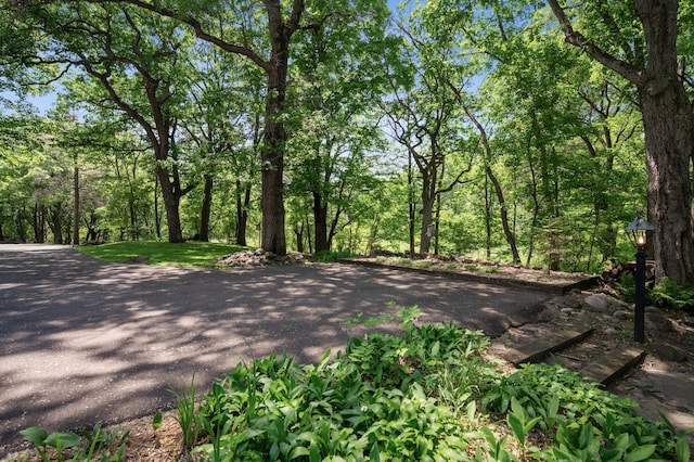 3 Mallard Ln, North Oaks, MN 55127 - photo 34