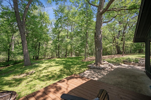 3 Mallard Ln, North Oaks, MN 55127 - photo 35