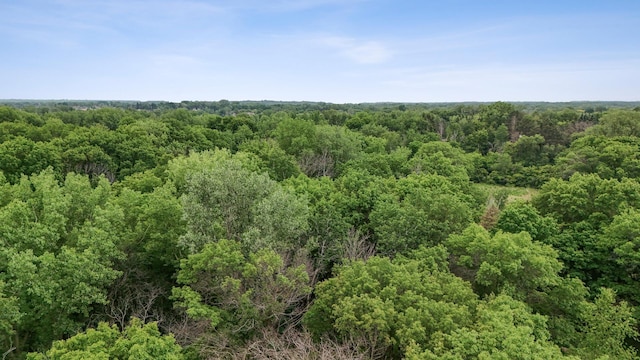 3 Mallard Ln, North Oaks, MN 55127 - photo 37