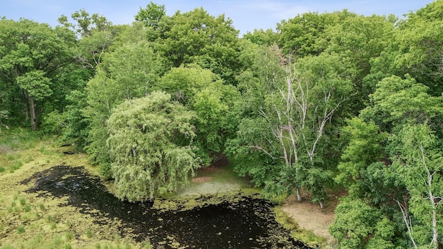 3 Mallard Ln, North Oaks, MN 55127 - photo 69