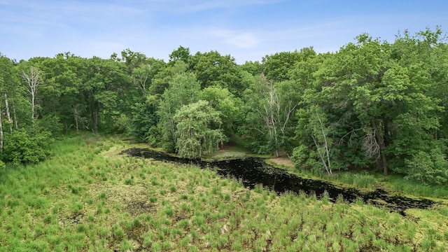 3 Mallard Ln, North Oaks, MN 55127 - photo 70