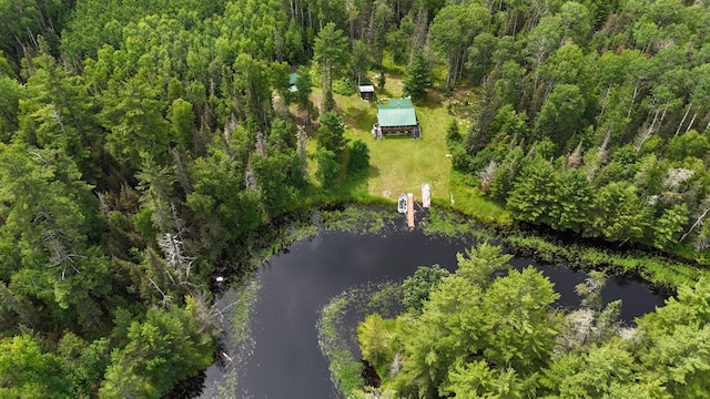 163 Rollick Crk, Crane Lake Twp, MN 55725 - photo 8
