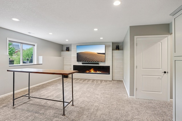 6287 Fountain Ln N, Maple Grove, MN 55311 - unfurnished office featuring carpet floors, a fireplace, recessed lighting, and a textured ceiling