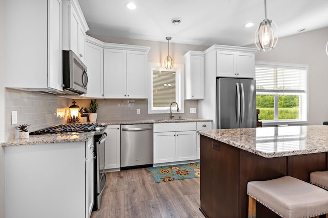 464 Laura Ln SE, Saint Michael, MN 55376 - photo 10