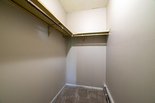 7248 72nd Ln N, Brooklyn Park, MN 55428 - walk in closet featuring carpet floors and a baseboard radiator