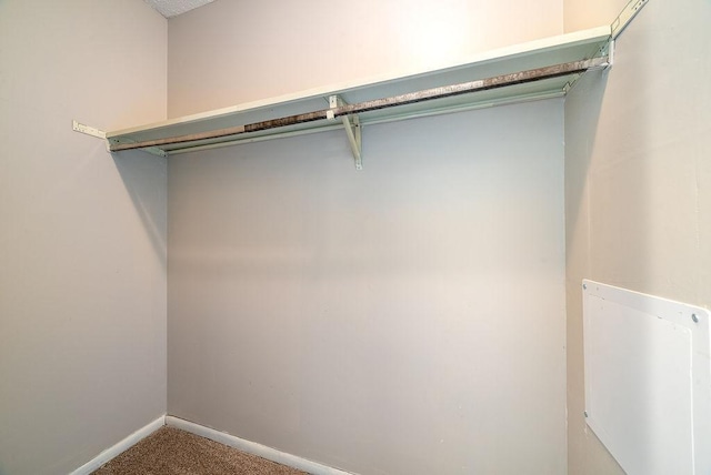 7248 72nd Ln N, Brooklyn Park, MN 55428 - spacious closet featuring carpet floors