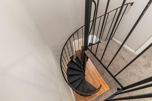 7248 72nd Ln N, Brooklyn Park, MN 55428 - view of stairway