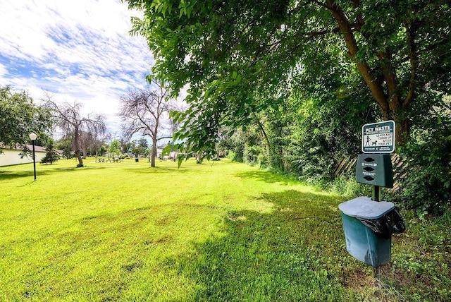7248 72nd Ln N, Brooklyn Park, MN 55428 - view of grassy yard