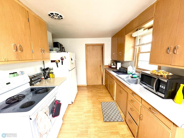 826 10th Ave S, Moorhead, MN 56560 - photo 5