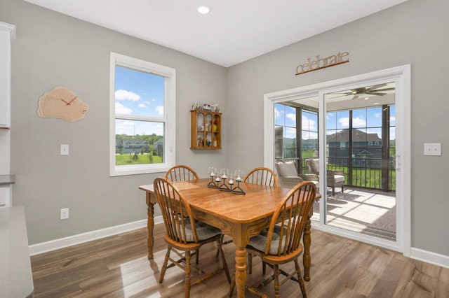 5241 Saddleback Cir, Victoria, MN 55386 - photo 9