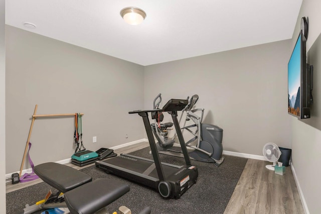 5241 Saddleback Cir, Victoria, MN 55386 - photo 28