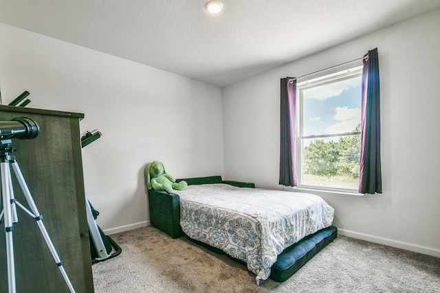 39604 Fallbrook Ave, North Branch, MN 55056 - bedroom with carpet and baseboards