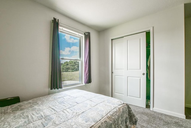 39604 Fallbrook Ave, North Branch, MN 55056 - carpeted bedroom with a closet and baseboards