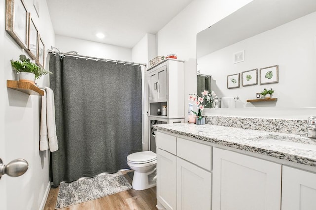 39604 Fallbrook Ave, North Branch, MN 55056 - bathroom with wood finished floors, vanity, and a shower with shower curtain