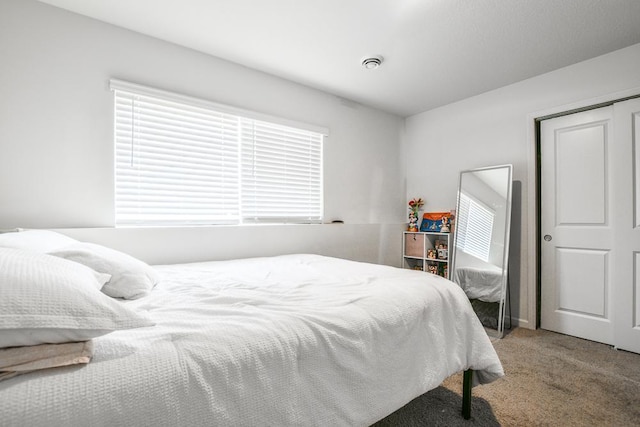 39604 Fallbrook Ave, North Branch, MN 55056 - carpeted bedroom with multiple windows