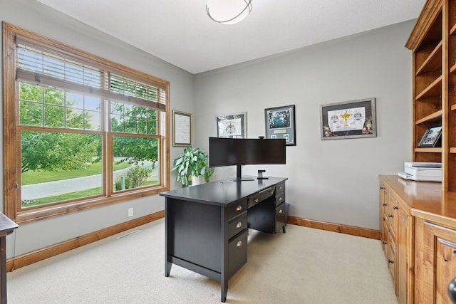 8250 Kelzer Pond Dr, Victoria, MN 55386 - photo 12