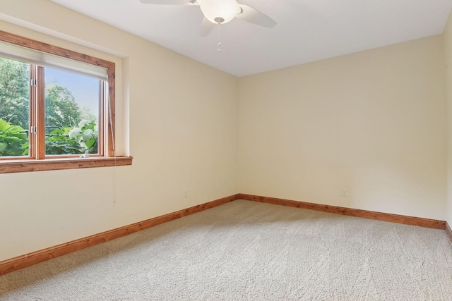 8250 Kelzer Pond Dr, Victoria, MN 55386 - photo 29