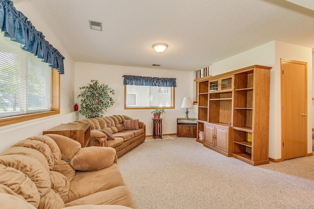 15126 Cimarron Way, Rosemount, MN 55068 - living room with light colored carpet, healthy amount of natural light, and a textured ceiling