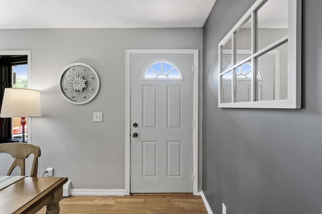 7635 165th Ave NE, Columbus, MN 55025 - entrance foyer featuring light wood-style floors and a textured ceiling