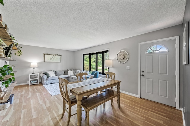 7635 165th Ave NE, Columbus, MN 55025 - living area with healthy amount of natural light, light wood-style flooring, and a textured ceiling