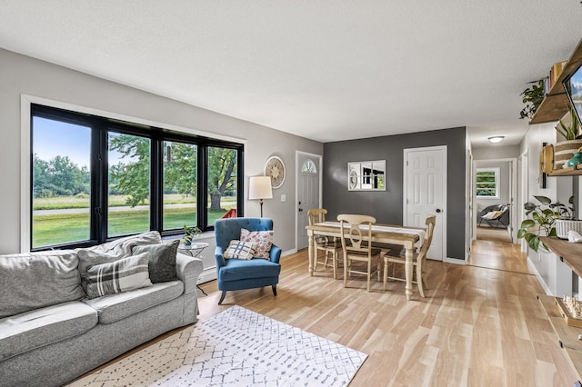 7635 165th Ave NE, Columbus, MN 55025 - living room featuring light wood-type flooring and a textured ceiling