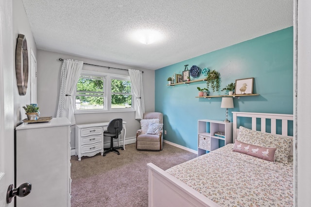 7635 165th Ave NE, Columbus, MN 55025 - bedroom featuring a textured ceiling, carpet flooring, and a baseboard radiator
