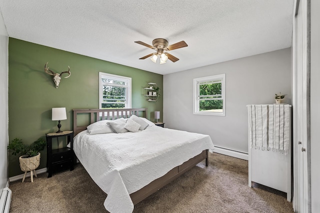 7635 165th Ave NE, Columbus, MN 55025 - bedroom with baseboard heating, multiple windows, carpet, and a textured ceiling