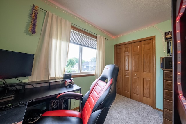 1281 Sunburst Way SE, Hutchinson, MN 55350 - photo 42