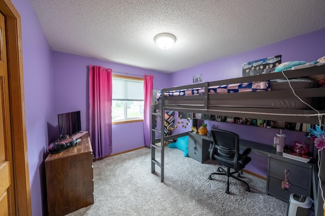 1281 Sunburst Way SE, Hutchinson, MN 55350 - photo 43