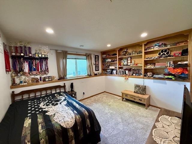 1281 Sunburst Way SE, Hutchinson, MN 55350 - photo 50