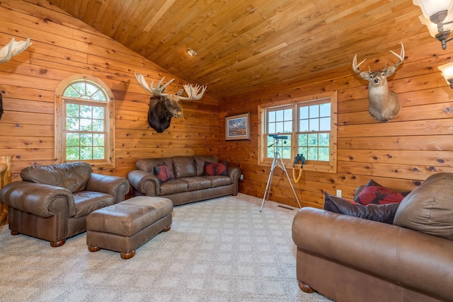 8515 Cedar Lake Blvd, Shieldsville Twp, MN 55021 - photo 29