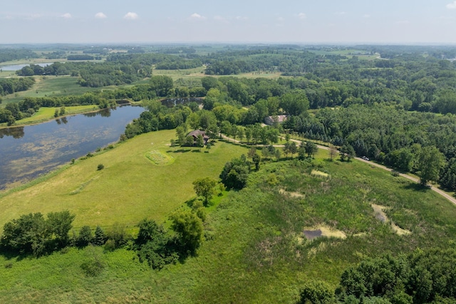 8515 Cedar Lake Blvd, Shieldsville Twp, MN 55021 - photo 46