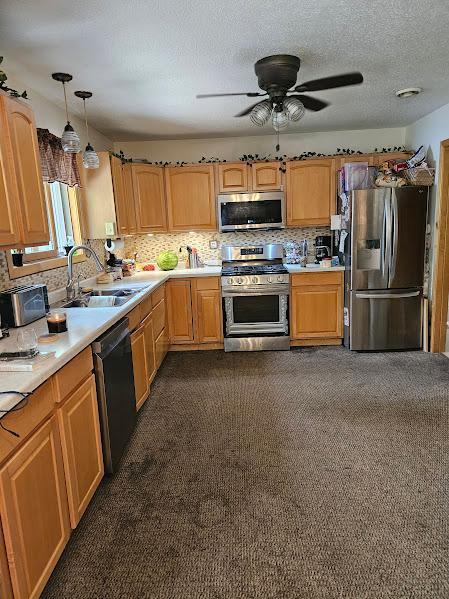 2742 State Highway 11 SE, Gudrid Twp, MN 56623 - kitchen with appliances with stainless steel finishes, light countertops, a ceiling fan, tasteful backsplash, and hanging light fixtures