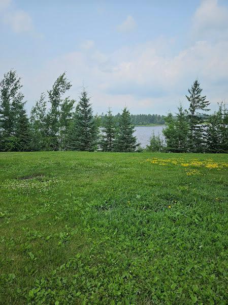 2742 State Highway 11 SE, Gudrid Twp, MN 56623 - view of yard featuring a water view