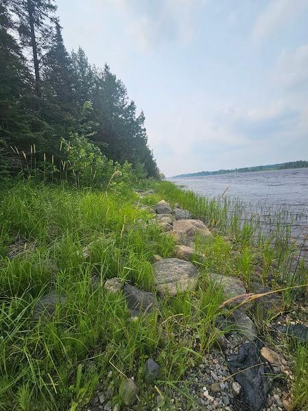 2742 State Highway 11 SE, Gudrid Twp, MN 56623 - water view