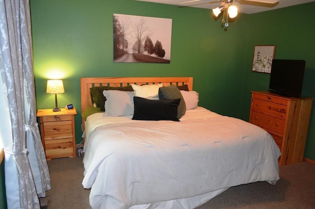 1120 Madisson St, Alexandria, MN 56308 - carpeted bedroom with a ceiling fan