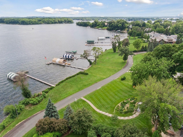 2462 Lafayette Rd, Minnetonka Beach, MN 55391 - drone / aerial view of a large body of water