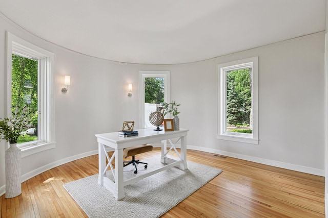 2462 Lafayette Rd, Minnetonka Beach, MN 55391 - office area featuring healthy amount of natural light and light wood-style flooring
