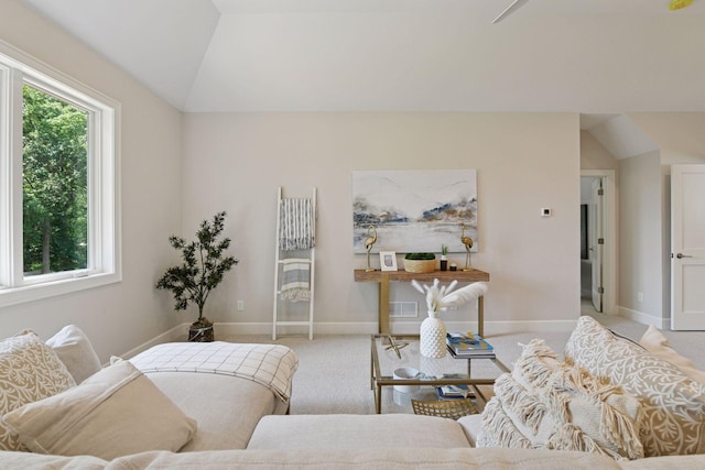 2462 Lafayette Rd, Minnetonka Beach, MN 55391 - living area with vaulted ceiling and carpet flooring