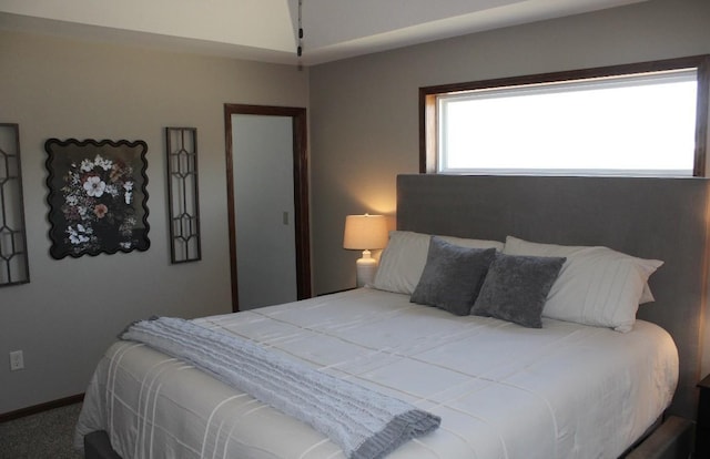 2007 Pratt Cir, Saint Peter, MN 56082 - bedroom with carpet flooring