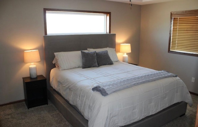 2007 Pratt Cir, Saint Peter, MN 56082 - carpeted bedroom featuring baseboards