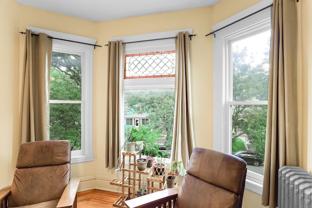 1520 Elliot Ave Unit 4, Minneapolis, MN 55404 - living area with radiator and plenty of natural light