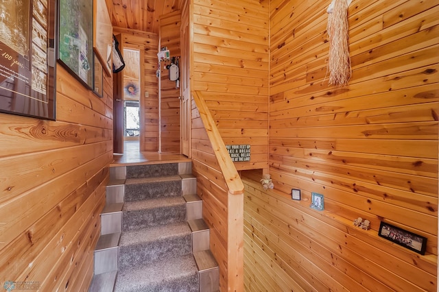 12104 County Highway 17, Lake View Twp, MN 56501 - stairs featuring wood walls and wooden ceiling