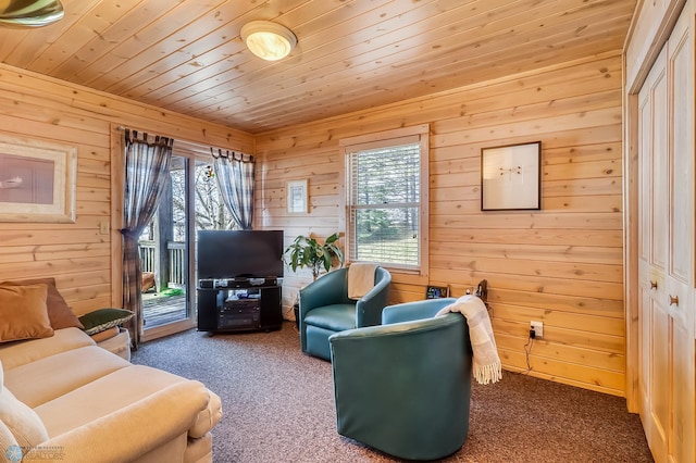 12104 County Highway 17, Lake View Twp, MN 56501 - carpeted living area with healthy amount of natural light, wooden walls, and wood ceiling