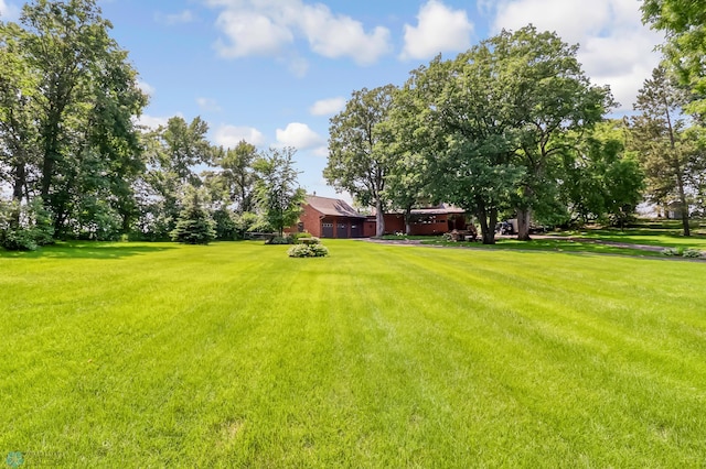 12104 County Highway 17, Lake View Twp, MN 56501 - view of grassy yard
