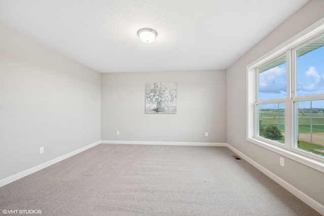 15742 Everglade Ave, Apple Valley, MN 55124 - carpeted empty room with plenty of natural light
