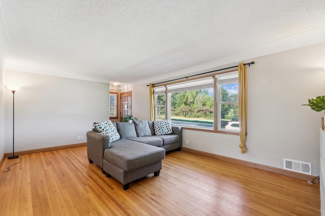 3355 Central Ave NE, Minneapolis, MN 55418 - living room featuring a textured ceiling and light wood finished floors