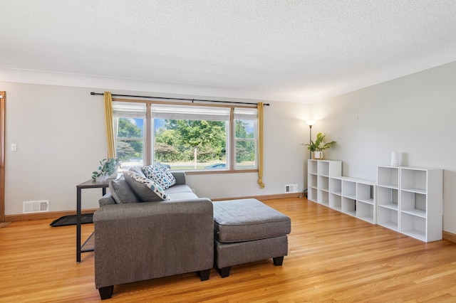 3355 Central Ave NE, Minneapolis, MN 55418 - living room featuring light wood-style flooring and a textured ceiling