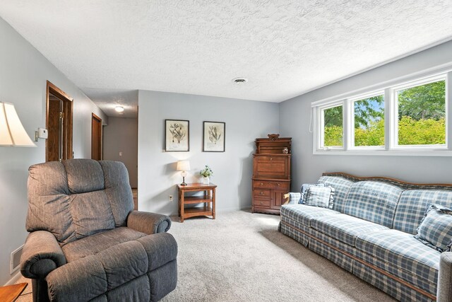 143 Woodcrest Ter, Le Sueur, MN 56058 - photo 21