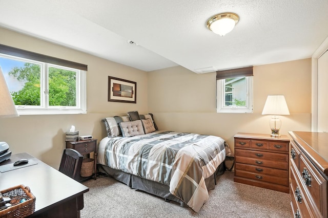 143 Woodcrest Ter, Le Sueur, MN 56058 - photo 24